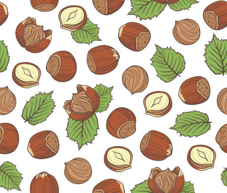 Seamless pattern with  hazelnuts on white background.のイラスト素材