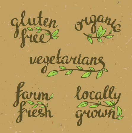 lettering - organic natural food, vegan and vegetarians menu.Craft paper background.のイラスト素材