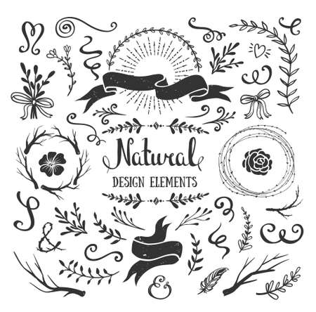 Vintage graphic set of flowers, branches, leafs and rustic design elements. Isolated floral shapes for crafting bouquets, frames, borders. Vector illustration.のイラスト素材