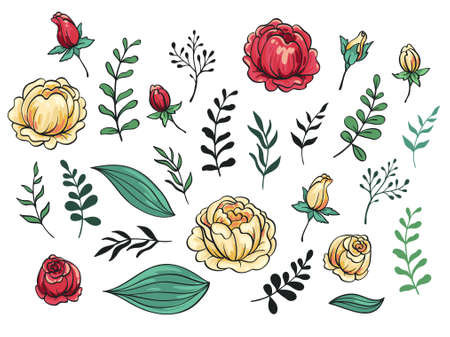 Elegant style wedding invitation elements set. Vector illustration. Flowers and leaves set.のイラスト素材