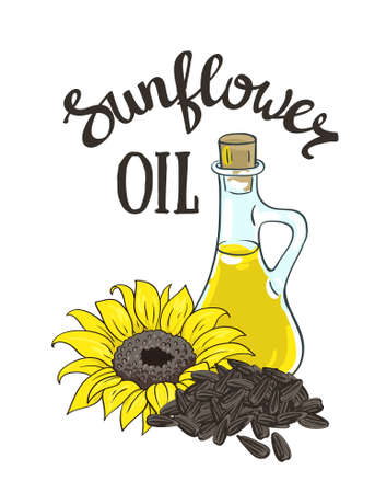 Vector hand drawn yellow sunflower, sunflower seeds and glass jug with oil.のイラスト素材