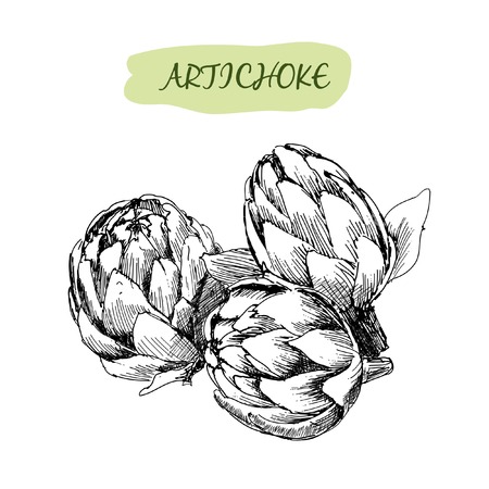 Artichokeのイラスト素材