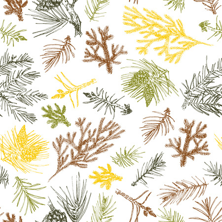 Elegant seamless pattern with hand drawn graphic pine's and fir needles.の写真素材