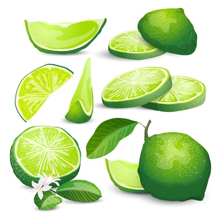 Lime collectionのイラスト素材