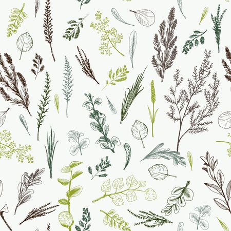 Wild herbs and flowers painted are in engraving style.のイラスト素材