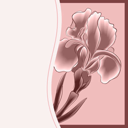 greeting card flower on the pink backgroundÂのイラスト素材
