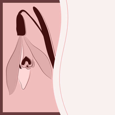 greeting card flower on the pink backgroundÂのイラスト素材