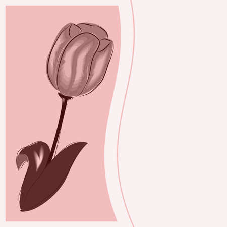 greeting card flower on the pink backgroundÂのイラスト素材