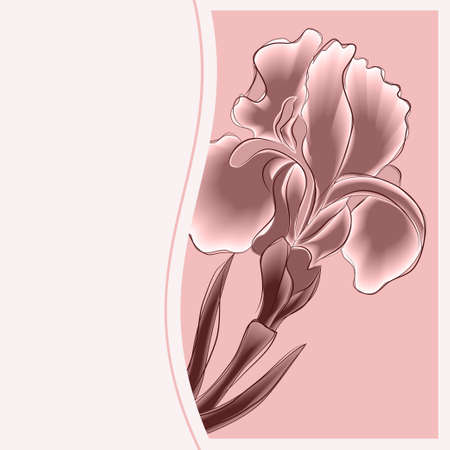 greeting card flower on the pink backgroundÂのイラスト素材
