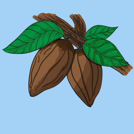 simple seamless pattern, almonds on a blue backgroundÂのイラスト素材