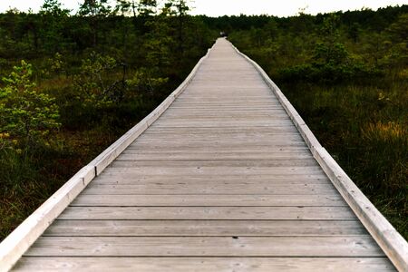 Silhouettes of people walking on a wooden path through Sirtsi Swamps in in Sirtsi Nature Preserve, Lahemaa National Park, Estoniaの写真素材