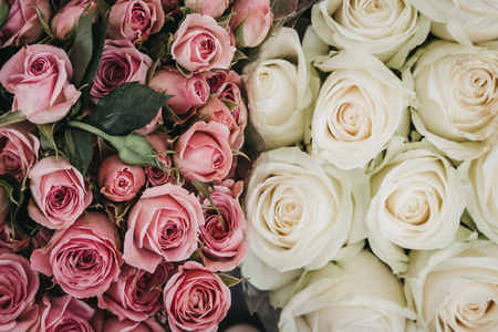 Close up of pink and white bundle of roses, shallow focus.の写真素材
