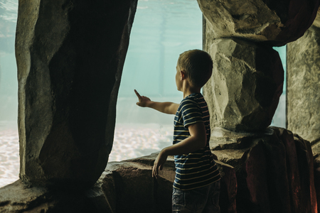 Prague, Czech Republic - August 27, 2018: Boy pointing a finger, looking inside aquarium in Prague Zoo, Czech Republic, the fifth best zoo in the world.のeditorial素材