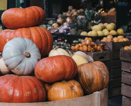 Variety of pumpkins on sale at a market, crates of fruits and vegetables on background, selective focus.の写真素材