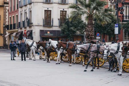 Seville, Spain - January 17, 2020: City tour horse carriage stationary on Plaza del Triunfo, small...