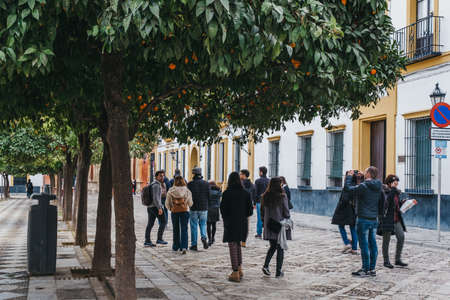 Seville, Spain - January 17, 2020: View of a typical street in Seville, the capital of Andalusia region in Southern Spain and a popular tourist destination, lined with orange trees, people walk by.のeditorial素材