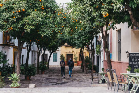Seville, Spain - January 17, 2020: View of a typical street in Seville, the capital of Andalusia region in Southern Spain and a popular tourist destination, lined with orange trees, people walk by.のeditorial素材