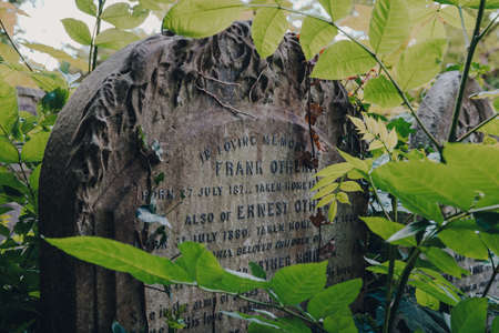 London, UK - June 16, 2020: Close up of a tombstone inside Hampstead Cemetery, a historic cemetery in West Hampstead, London, opened in November 1876. Selective focus, framed by a tree.のeditorial素材