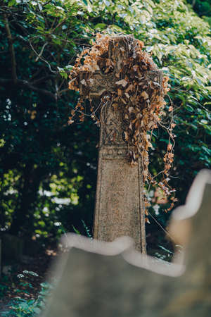 London, UK - June 16, 2020: Celtic cross covered in ivy inside Hampstead Cemetery, a historic cemetery in West Hampstead, London, opened in November 1876. Selective focus, view over another cross.のeditorial素材