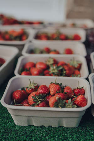 Carton punnets of fresh strawberries on display on a local market stall in the Cotswolds, UK.の素材 [FY310153899271]