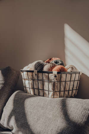 Basket of earth coloured skeins of yarn inside an apartment, sunlight from the window on it, selective focus.の写真素材