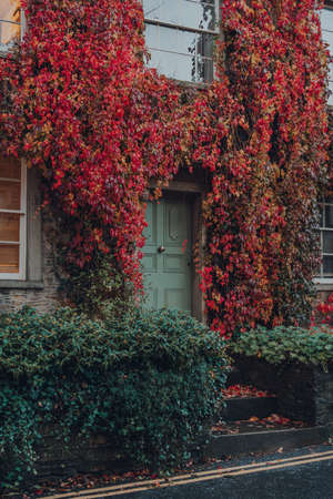 Red and yellow foliage over the old stone house in Frome, Somerset, UK.