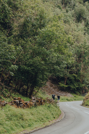 Cheddar Gorge, UK - July 26, 2020: Road going through Cheddar Gorge, a famous limestone gorge in the Mendip Hills, near the village of Cheddar, Somerset, England. People walking in the distance.のeditorial素材