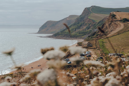 Eype Beach, UK - July 25, 2020: Scenic view over the flowers of Thorncombe Beacon hill on Jurassic Coast, a World Heritage Site on the English Channel coast of southern England. Selective focus.のeditorial素材