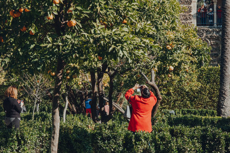 Seville, Spain - January 19, 2020: Woman takes photos of decorative orange trees in the Garden of...