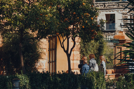 Seville, Spain - January 19, 2020: View through the trees of people walking in the Garden of the Ladies in Alcazar of Seville, a royal palace built for the Christian King Peter of Castile.のeditorial素材