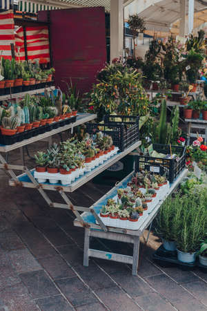 Nice, France - March 10, 2022: Potted plants on sale at Marche Aux Fleurs Cours Saleya (Cours Saleya Market) on Cours Saleya, the largest pedestrian area in Vieux Nice (Old Town).のeditorial素材