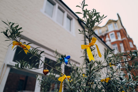Yellow and blue ribbons tied on a tree in London, UK, in support of Ukraine, selective focus.の写真素材