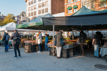 November 23, 2022 - New York, USA: People shopping at the stalls of Grow NYC Union Square Greenmarket, a year-round farmers market with various farm and small batch food producers.のeditorial素材