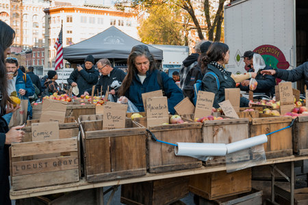 November 23, 2022 - New York, USA: Customers buying apples at Grow NYC Union Square Greenmarket, a year-round farmers market with various farm and small batch food producers.のeditorial素材