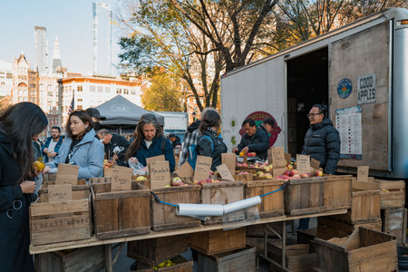 November 23, 2022 - New York, USA: Customers buying apples at Grow NYC Union Square Greenmarket, a year-round farmers market with various farm and small batch food producers.のeditorial素材