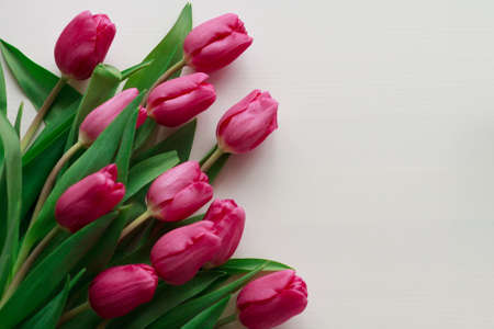 Beautiful bouquet of pink tulips on a white wooden backgroundの写真素材
