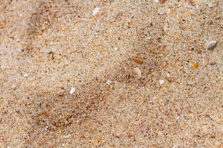 Multicolored grains of sand with shellsの写真素材