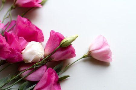 bouquet of pink eustoma flowers on a white backgroundの写真素材