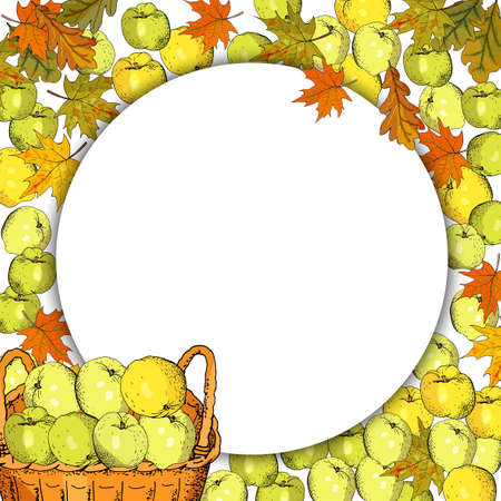 Square template with apples, basket of harvest, leaves.のイラスト素材