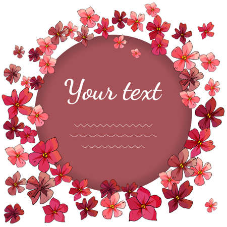 Floral template with phlox flowers isolated on white. Excellent print for greeting cards, gift box.のイラスト素材