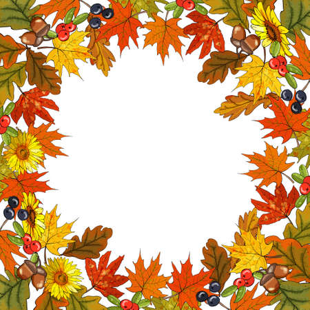 Seamless pattern with different fresh vegetables isolate on white. Endless texture for your design.のイラスト素材