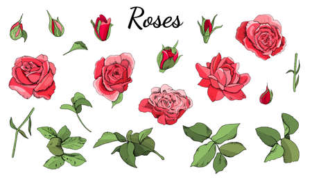 Round template and seamless border with roses and leaves isolated on white background.のイラスト素材