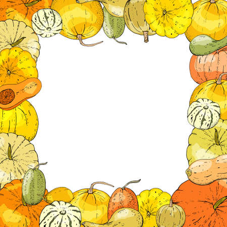 Autumnal card for thanksgiving or seasonal design with pumpkins.のイラスト素材