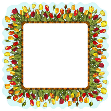 Stock floral frame from colorful cute tulips.のイラスト素材