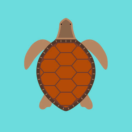 Simple turtle icon on blue illustration.