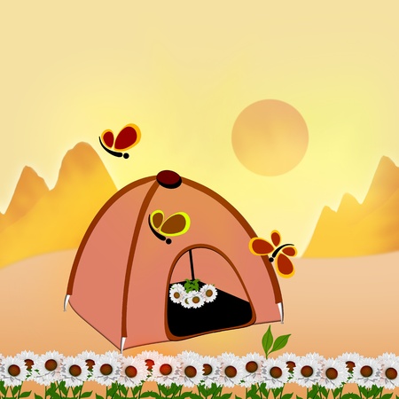 Tent. natureの写真素材