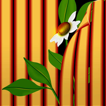 Background of abstract lines and chamomile flowersの写真素材
