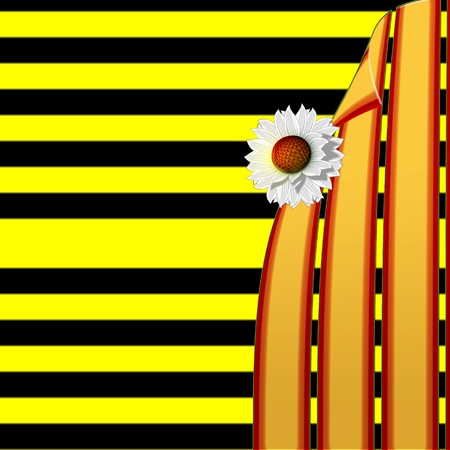 Background of abstract lines and chamomile flowersの写真素材