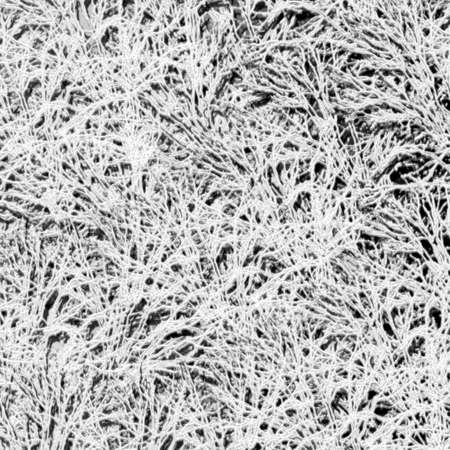 Background illustration of direct and abstract linesの写真素材