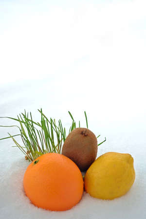 Photos of fruit in the snowの写真素材